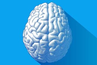 Sağ Beyin ve Sol Beyin: İşlevleri ve İşbirliği